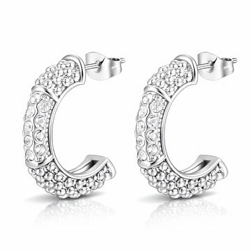 Earrings, Stainless Steel