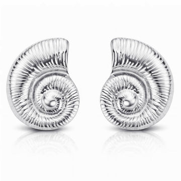 Seashells Earrings, Stainless Steel
